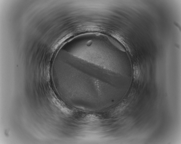 X0000102250390200807251327