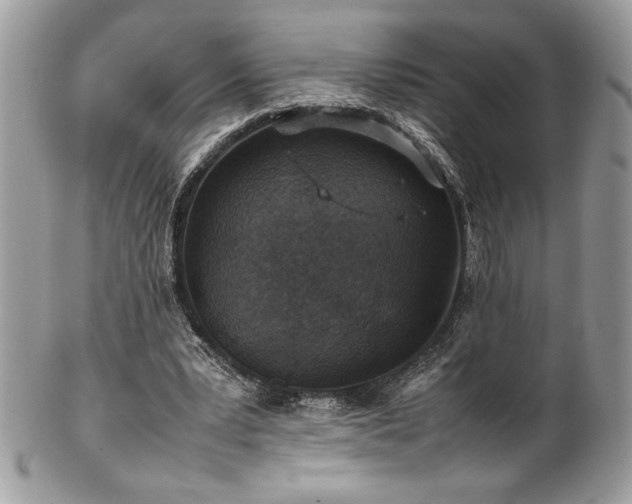 X0000102250391200807251327