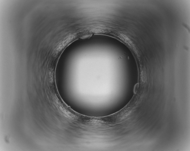 X0000102250393200807251327