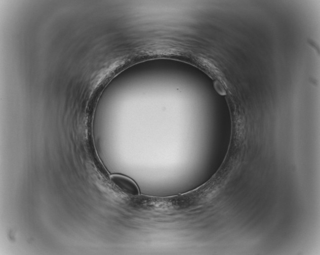 X0000102250395200807251327