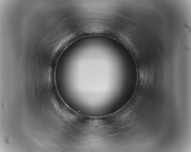X0000102250396200807251327