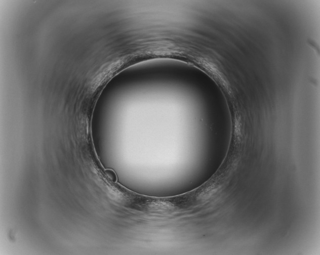 X0000102250397200807251327