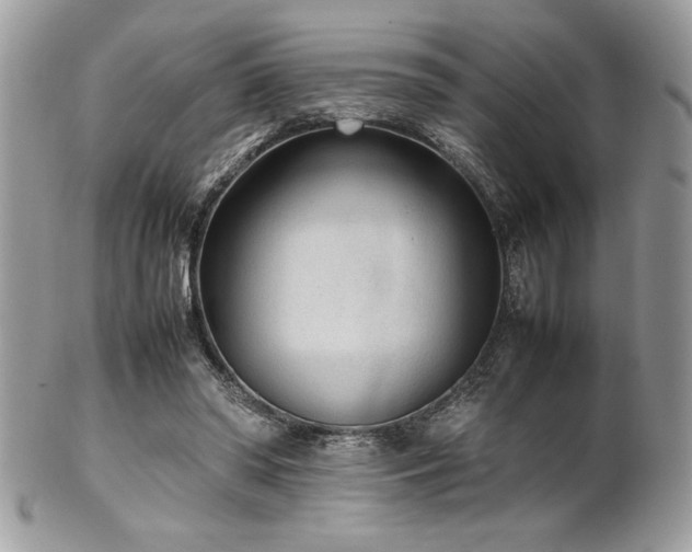 X0000102250398200807251327