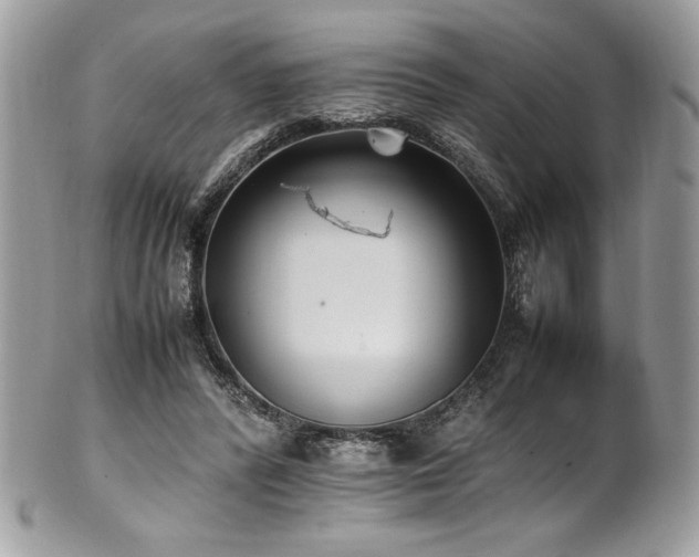 X0000102250400200807251327