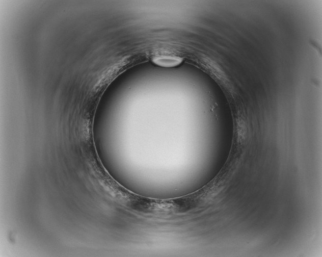 X0000102250401200807251327