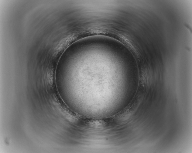 X0000102250402200807251327