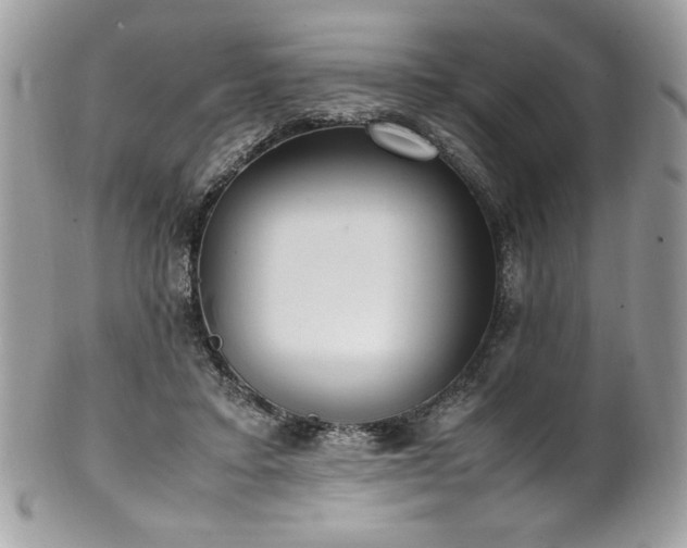 X0000102250403200807251327