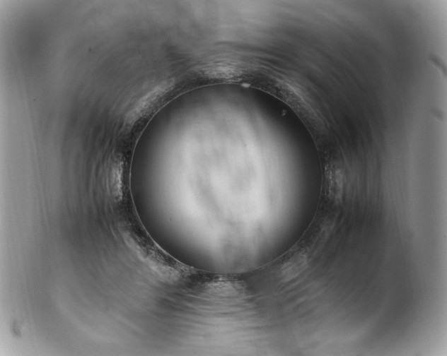 X0000102250404200807251326
