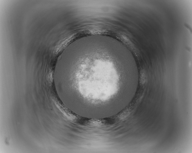 X0000102250405200807251326