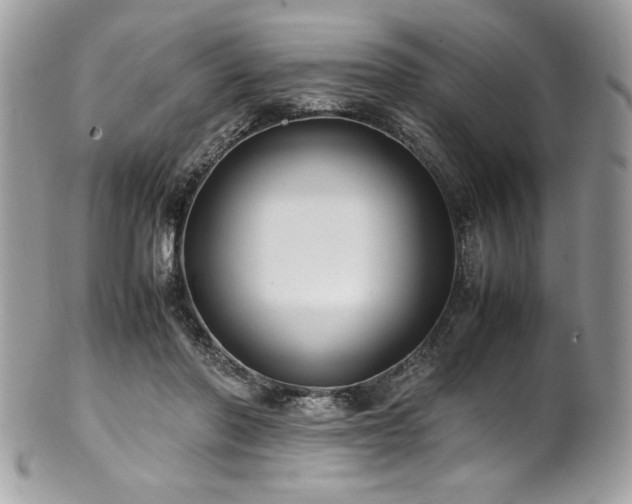 X0000102250406200807251326