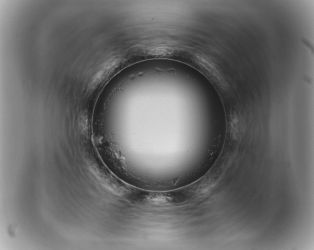 X0000102250407200807251326