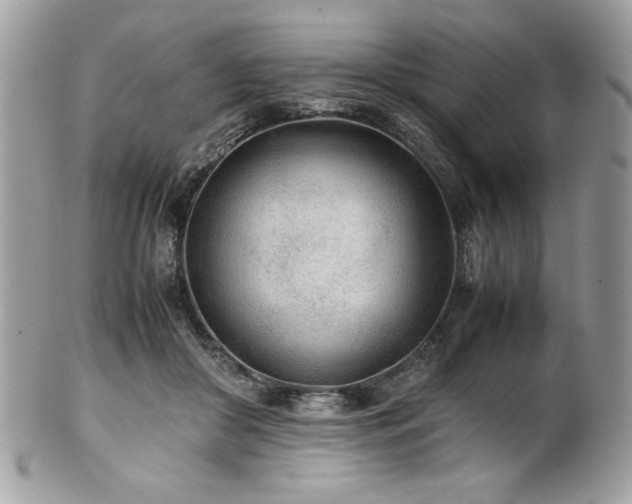 X0000102250410200807251326