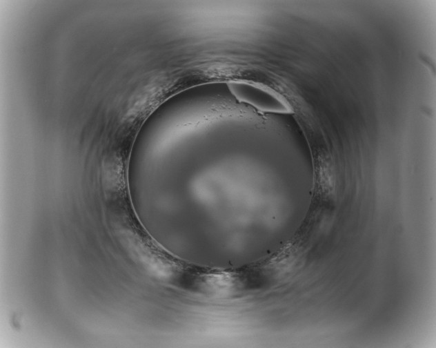 X0000102250411200807251326
