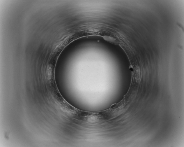 X0000102250412200807251326