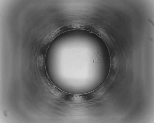 X0000102250413200807251326