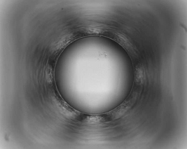X0000102250414200807251326