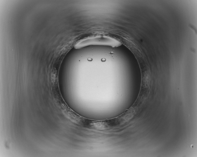 X0000102250417200807251326