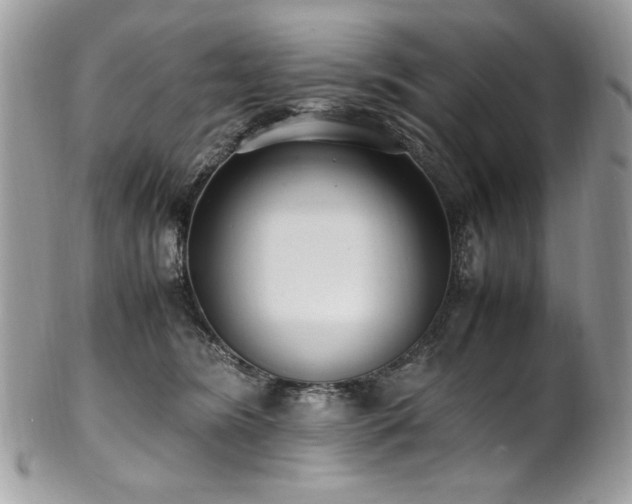 X0000102250420200807251326