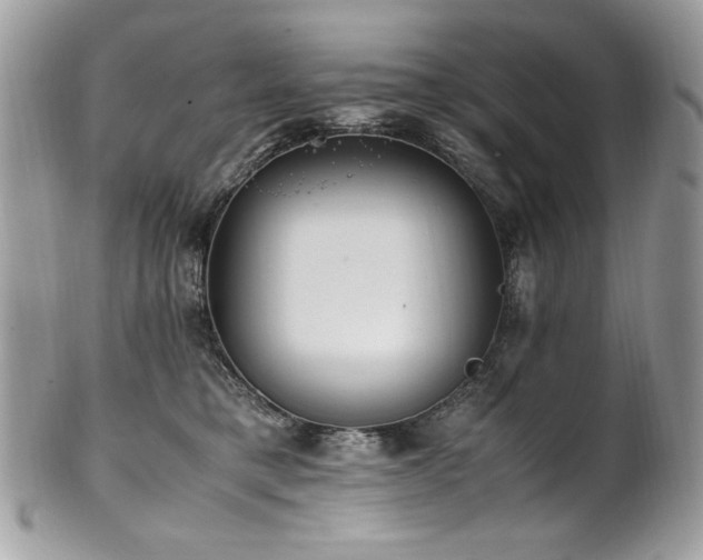 X0000102250421200807251326