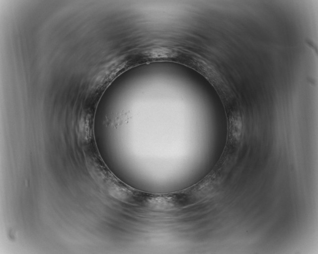 X0000102250422200807251326