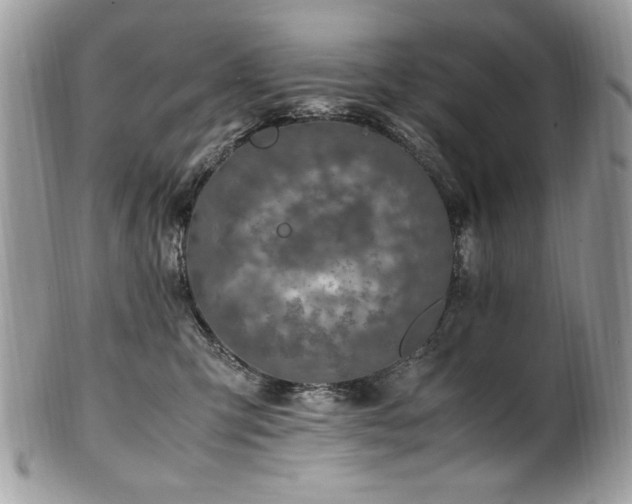 X0000102250423200807251326