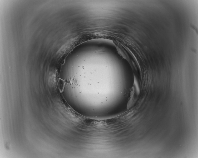 X0000102250424200807251326