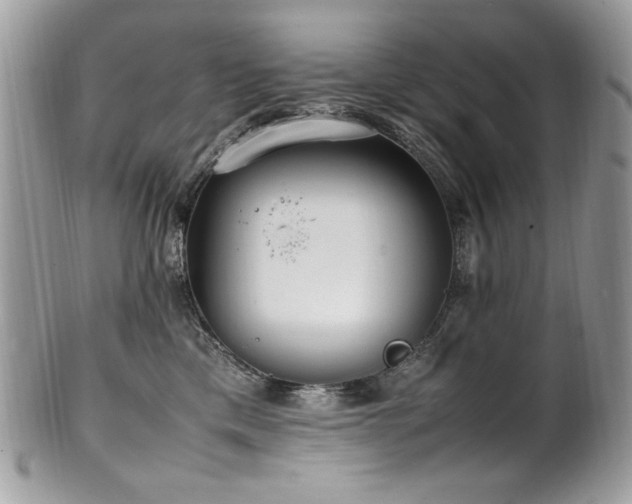 X0000102250425200807251326