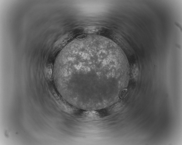 X0000102250427200807251326