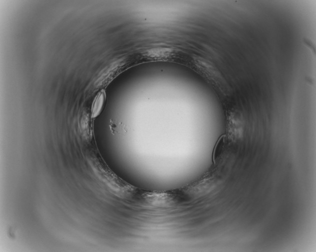 X0000102250428200807251326