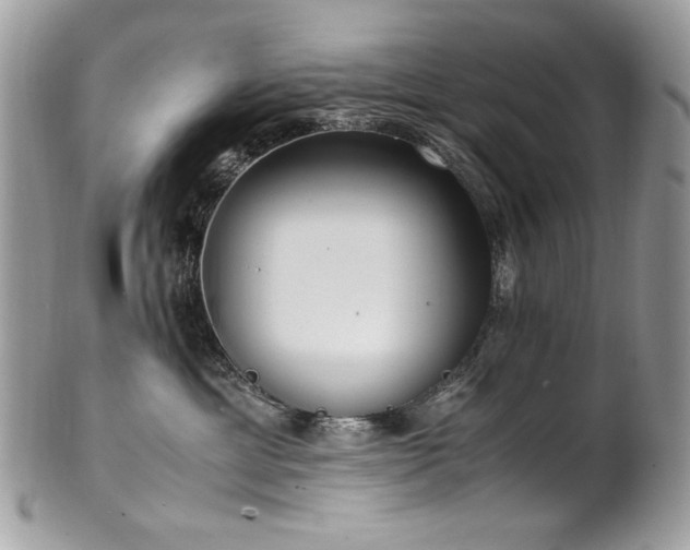 X0000102250429200807251326