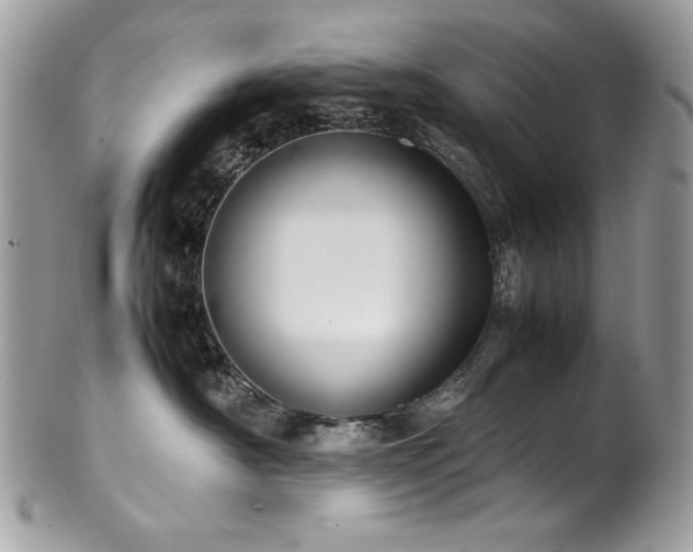 X0000102250430200807251326