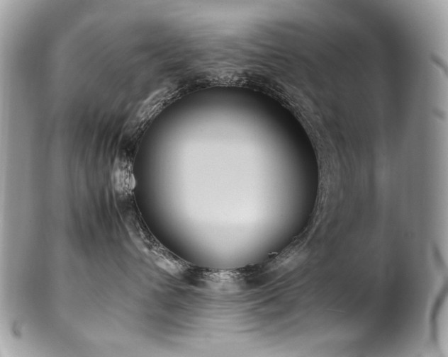 X0000102250432200807251326