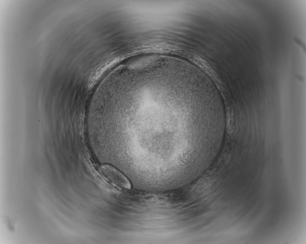 X0000102250434200807251325