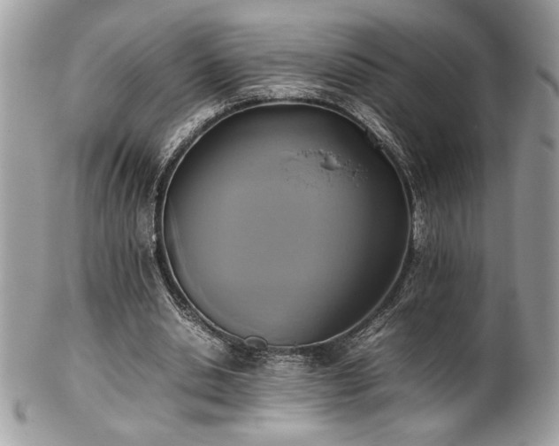 X0000102250438200807251325