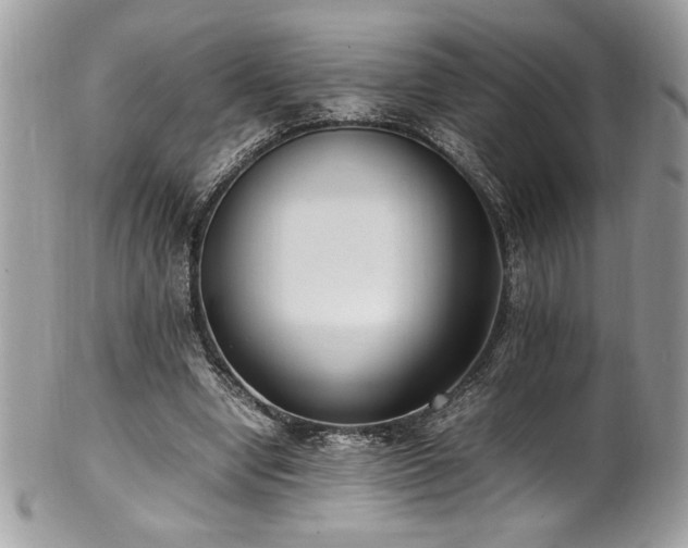 X0000102250442200807251325