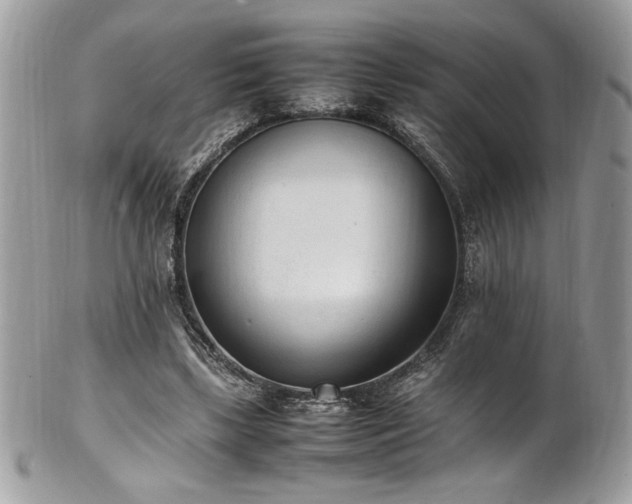 X0000102250443200807251325