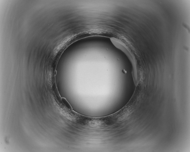 X0000102250444200807251325