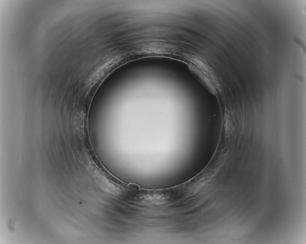 X0000102250445200807251325