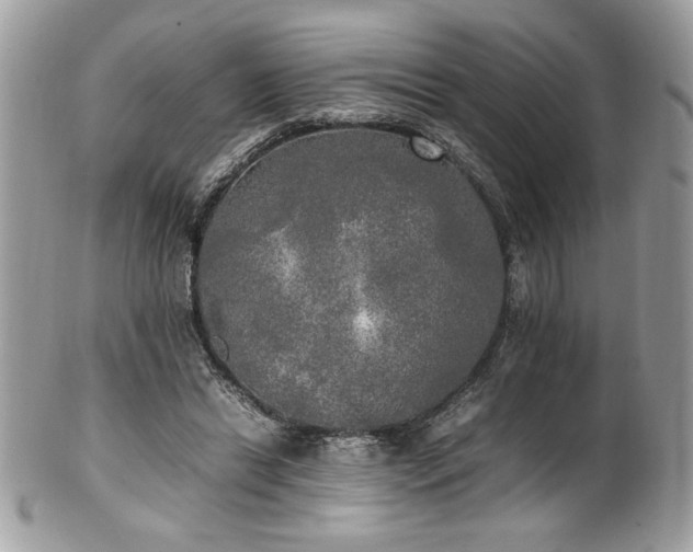 X0000102250446200807251325