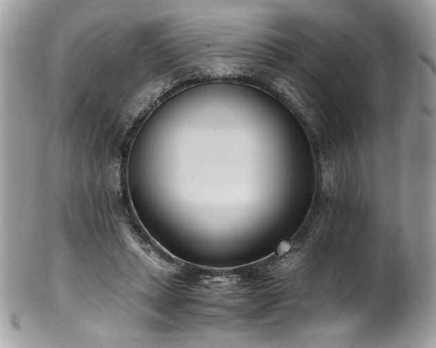 X0000102250447200807251325
