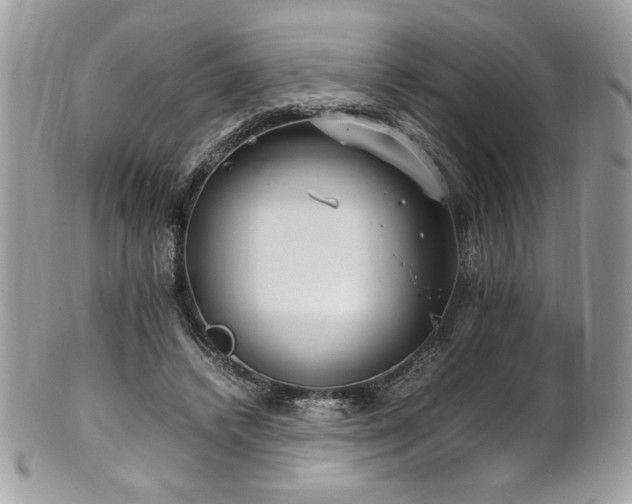 X0000102250448200807251325