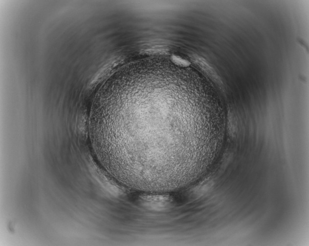 X0000102250449200807251325