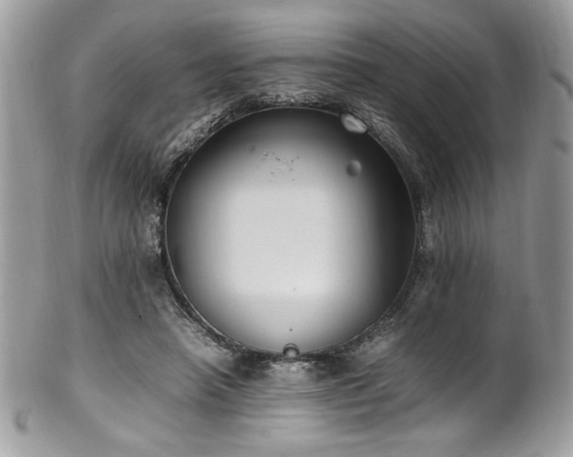 X0000102250450200807251325