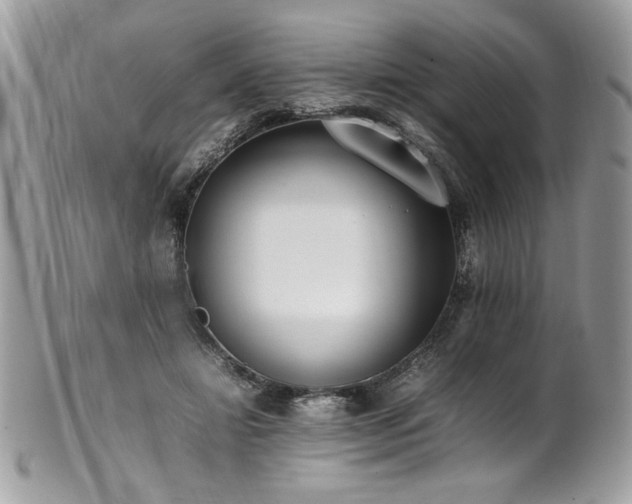 X0000102250452200807251326