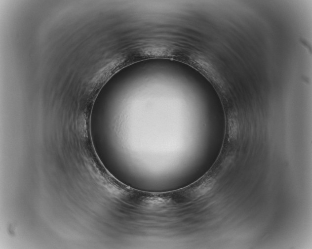 X0000102250453200807251326