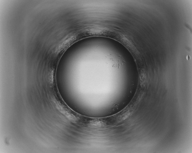 X0000102250454200807251326