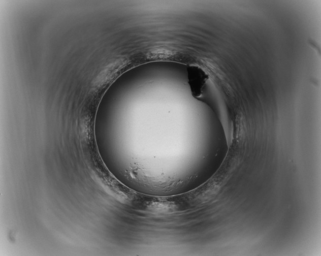 X0000102250455200807251326
