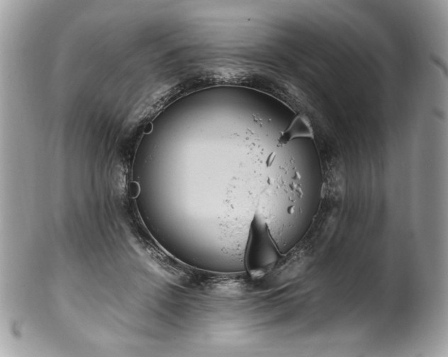 X0000102250456200807251326