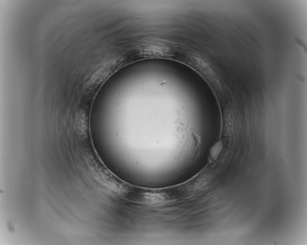 X0000102250457200807251326
