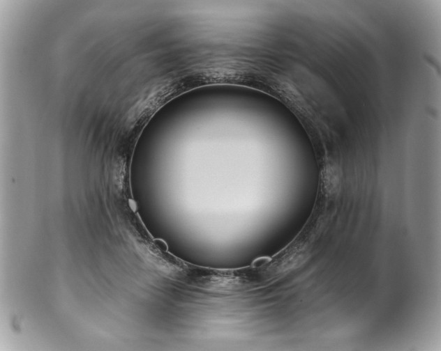 X0000102250458200807251326